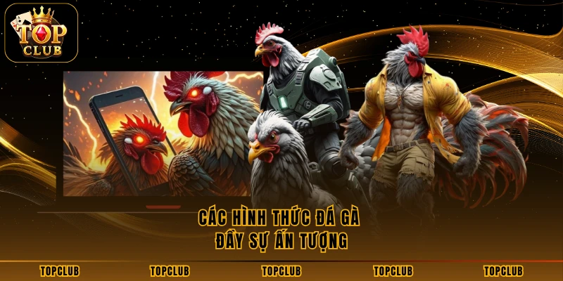 Các hình thức đá gà đầy sự ấn tượng