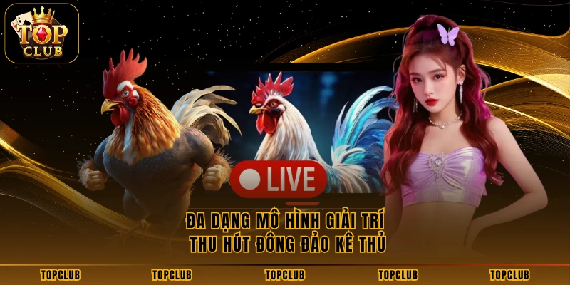 Đa dạng mô hình giải trí thu hút đông đảo kê thủ