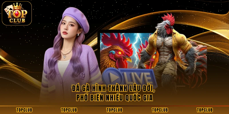 Đá gà hình thành lâu đời, phổ biến nhiều quốc gia