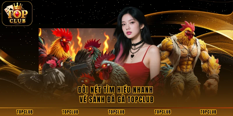 Đôi nét tìm hiểu nhanh về sảnh đá gà TOPCLUB