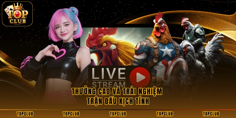 Thưởng cao và trải nghiệm trận đấu kịch tính